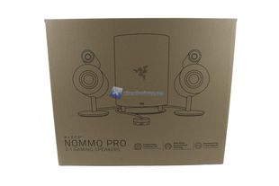 Razer Nommo Pro 1